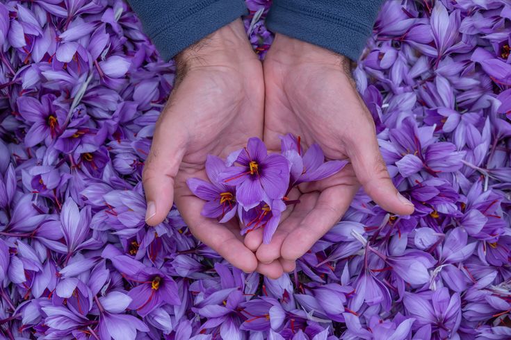 Zafrave Kashmiri Mongra Saffron